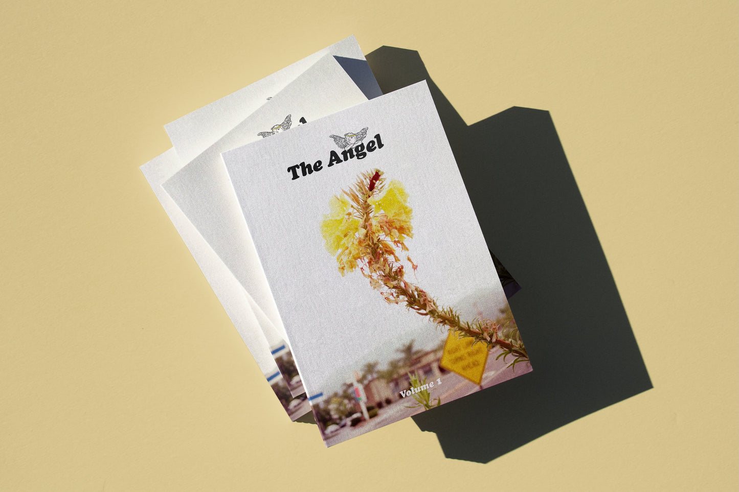 The Angel: Volume One (pre-order)