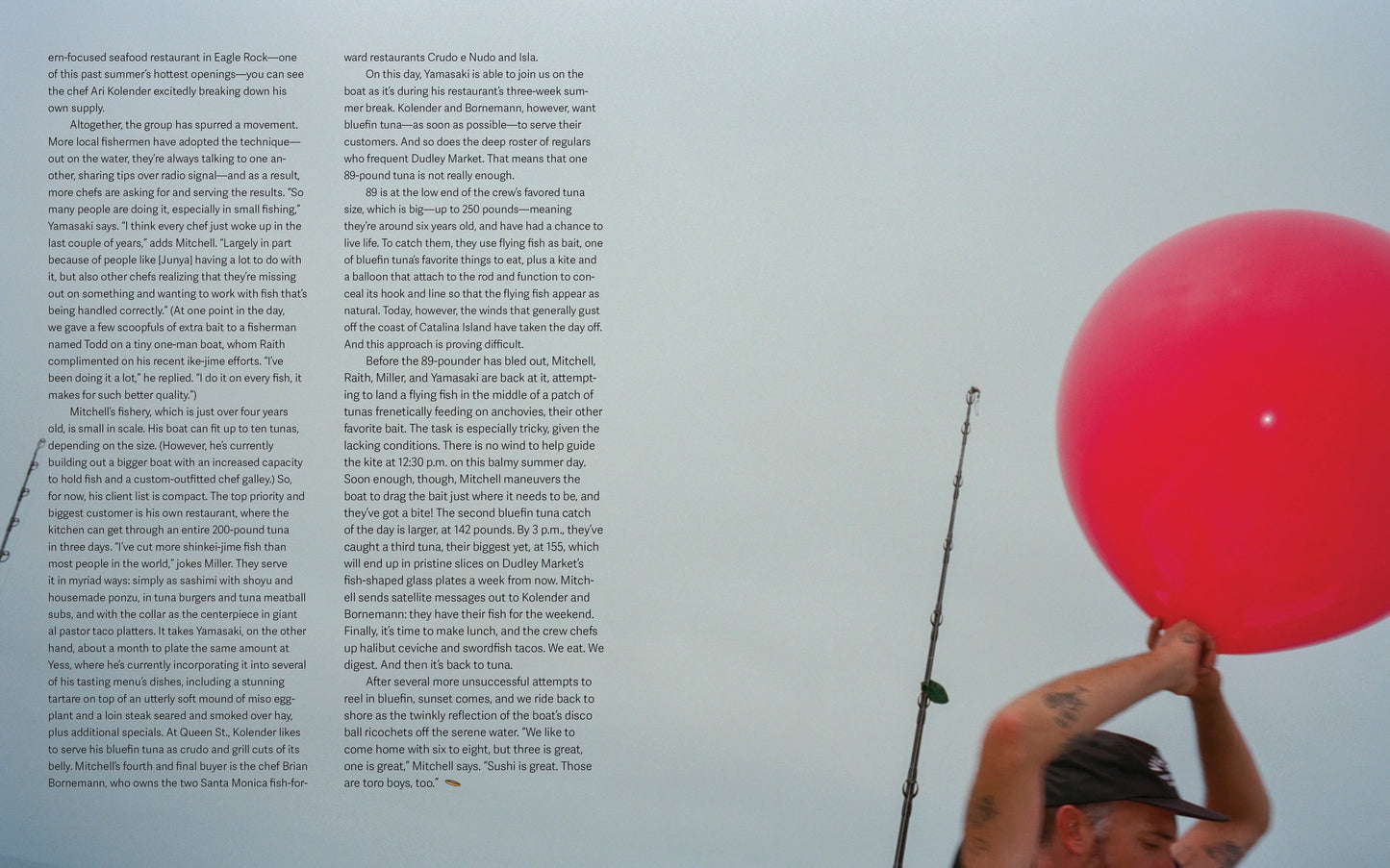 The Angel: Volume One